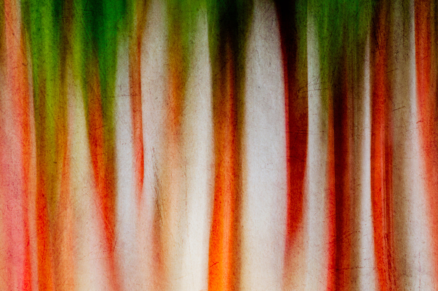 Photographic Print: "Abstract Veggies"