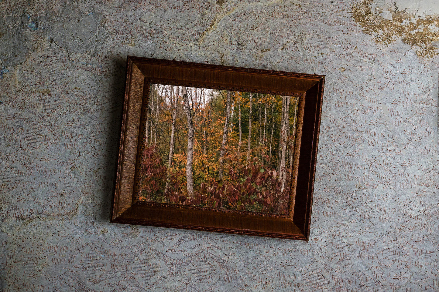 Photographic Print: "Autumn Feelings"