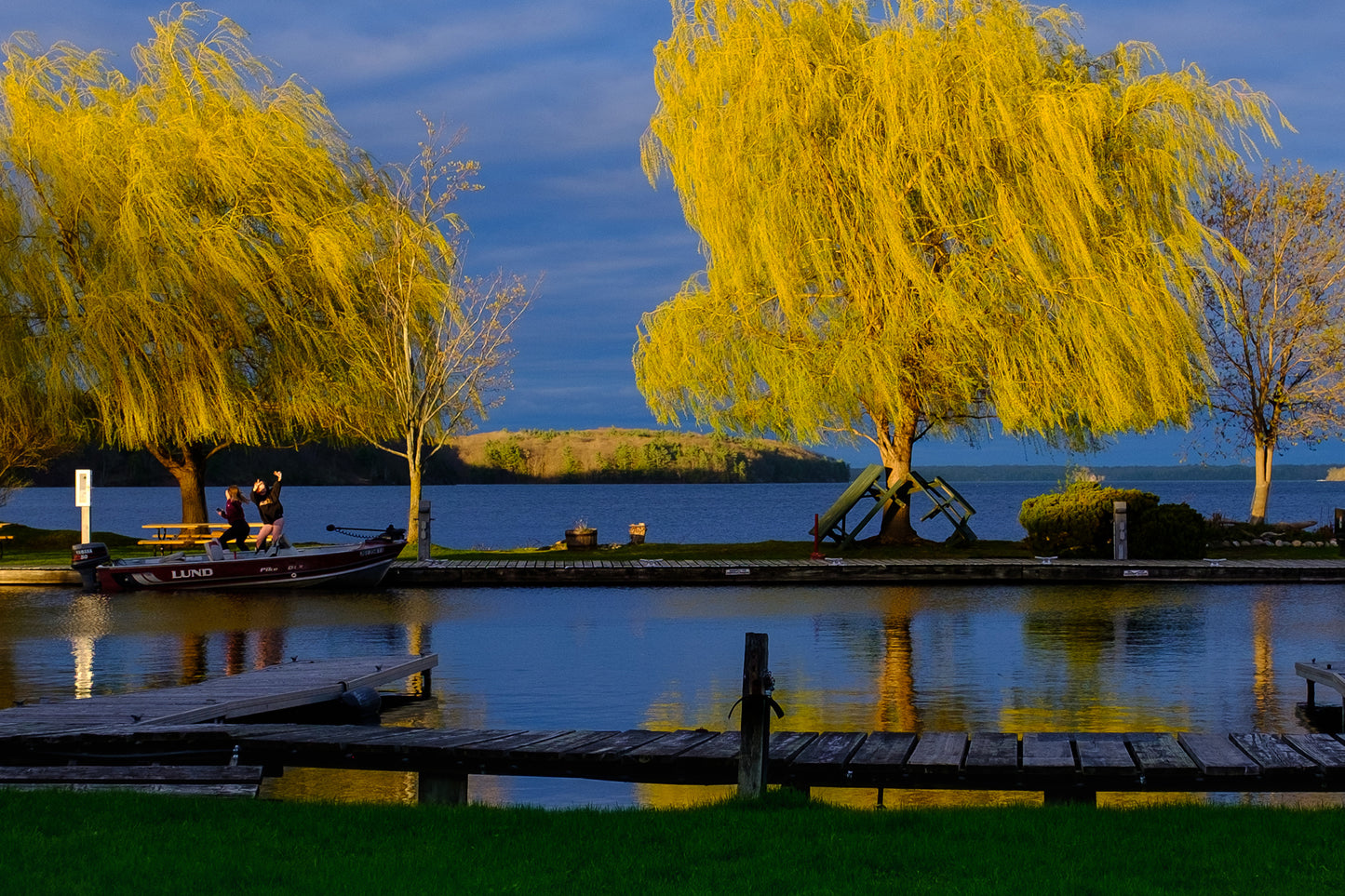 Photographic Print: "Golden Willows"