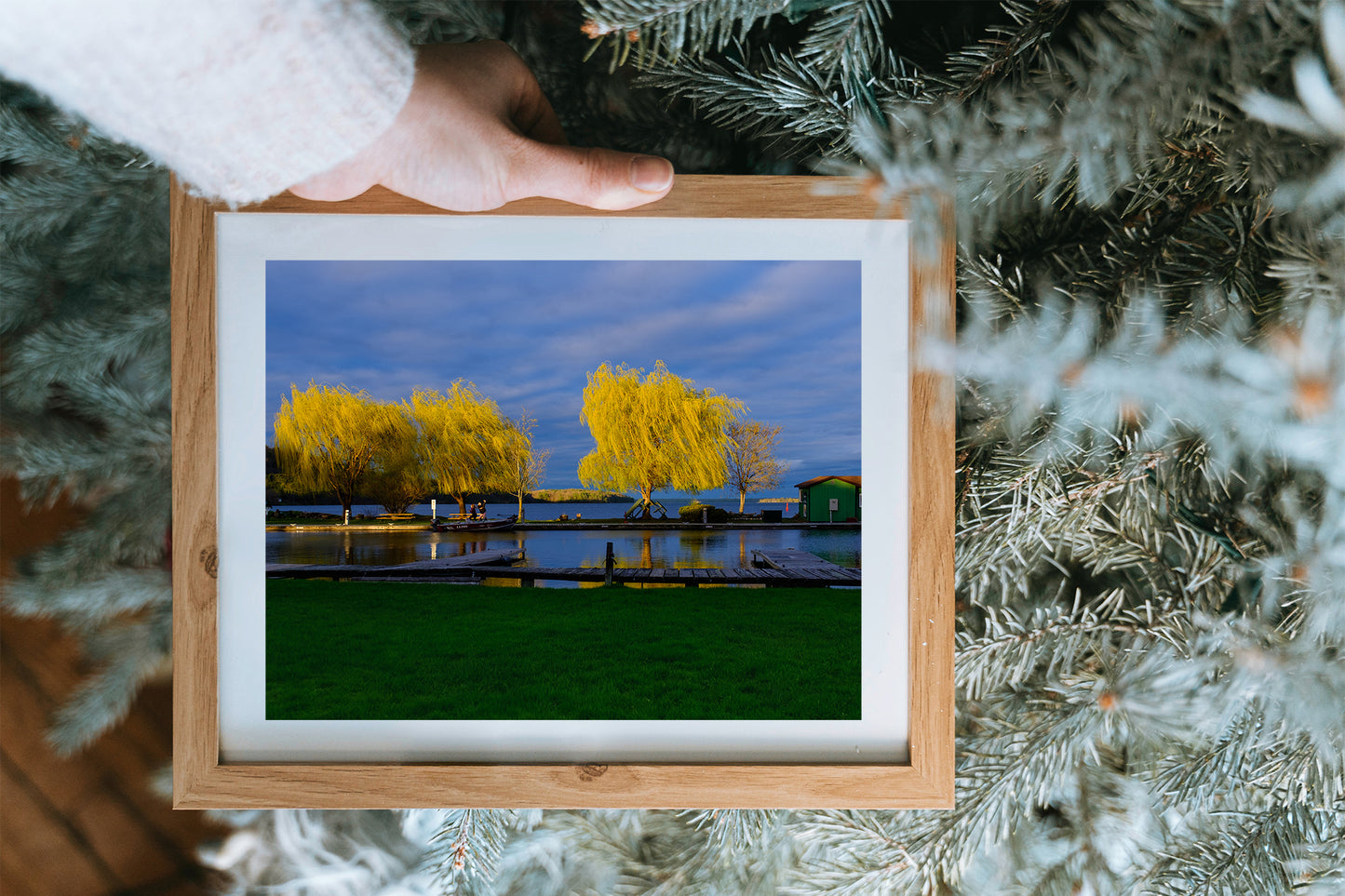 Photographic Print: "Golden Willows"