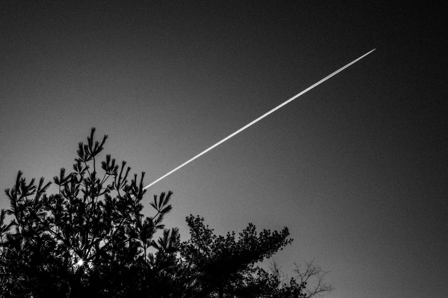 Photographic Print: "Like a Rocket"