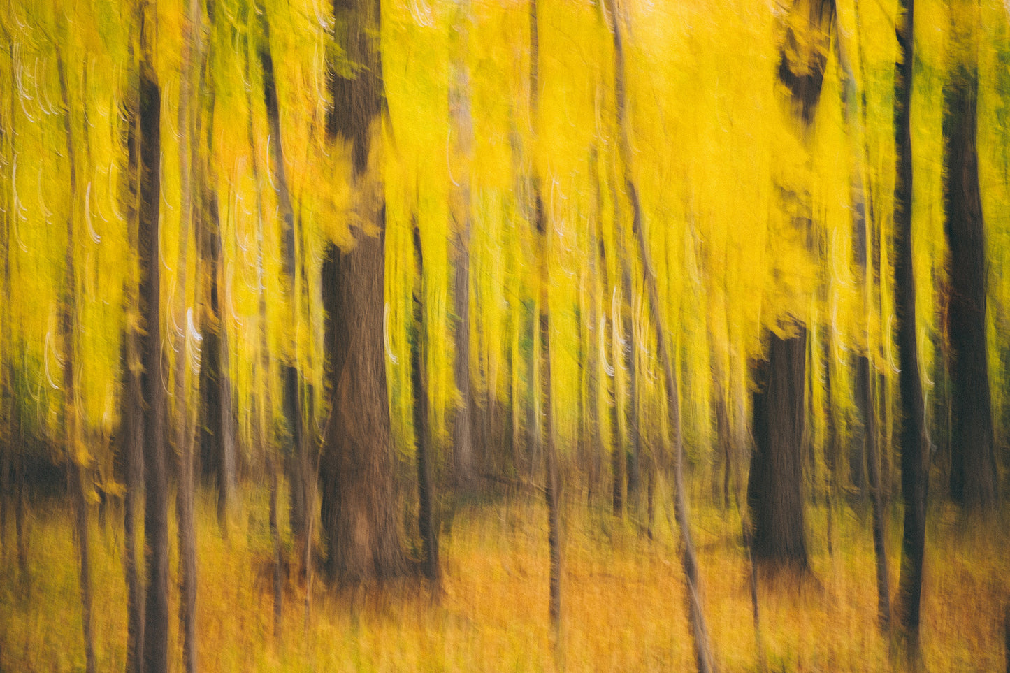 Photographic Print: "More Abstractedness"