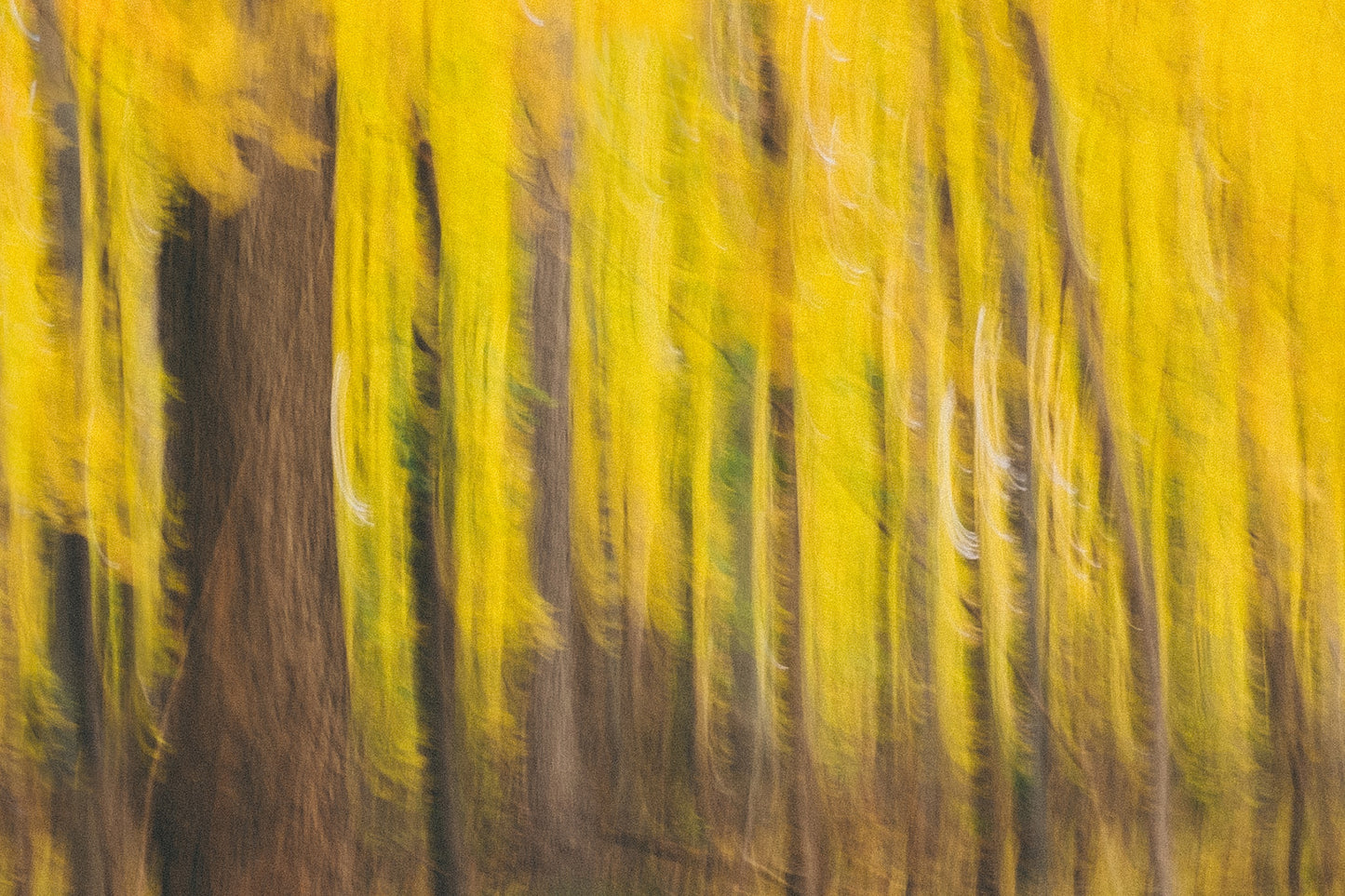 Photographic Print: "More Abstractedness"