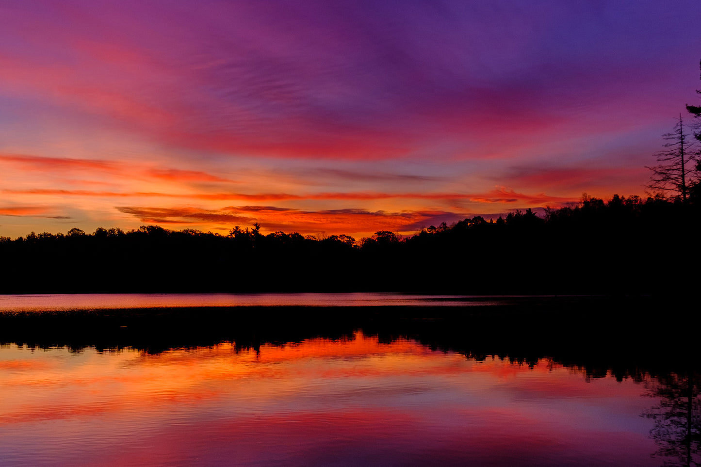 Photographic Print: "Purple Sky"