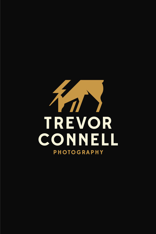 30 Minute Training Session